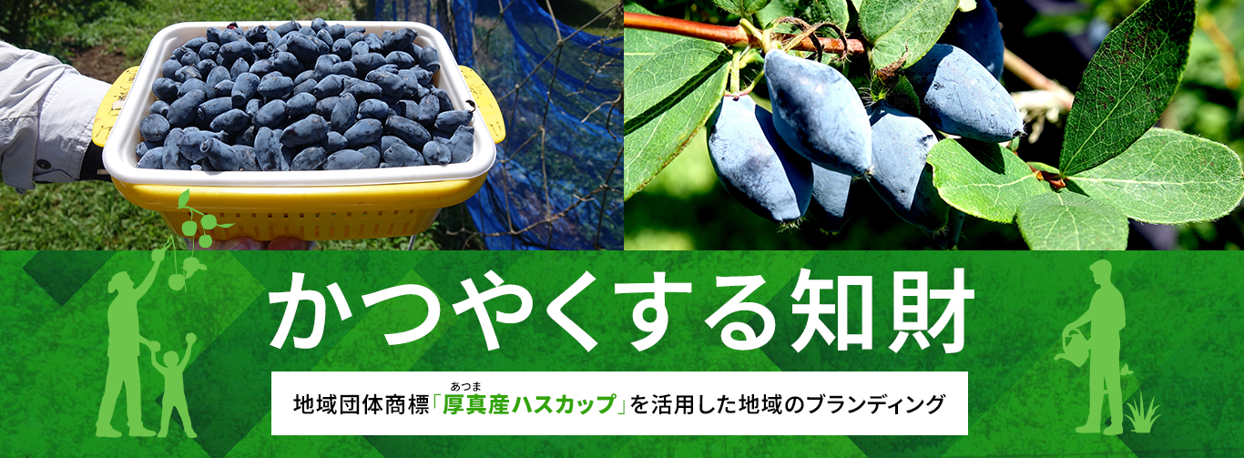 かつやくする知財